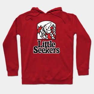 Little Seekers Hoodie